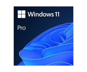 Microsoft Windows 11 Pro İngilizce Oem (64 Bit) FQC-10528