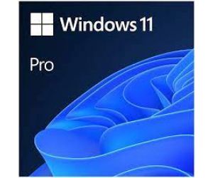 Microsoft Windows 11 Pro Türkçe Oem (64 Bit) İşletim Sistemi FQC-10556