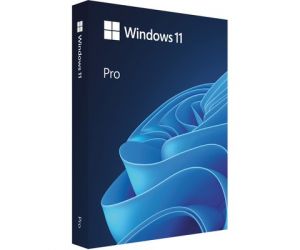 Microsoft Windows 11 Pro Kutu Türkçe HAV-00159