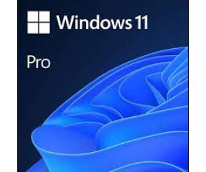 Microsoft WINDOWS 11 PRO-ESD FQC-10572