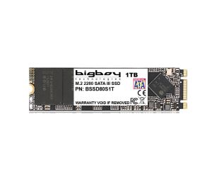 Bigboy 1 TB 22x80mm M.2 Sata 3 Notebook SSD BSSD80S1T